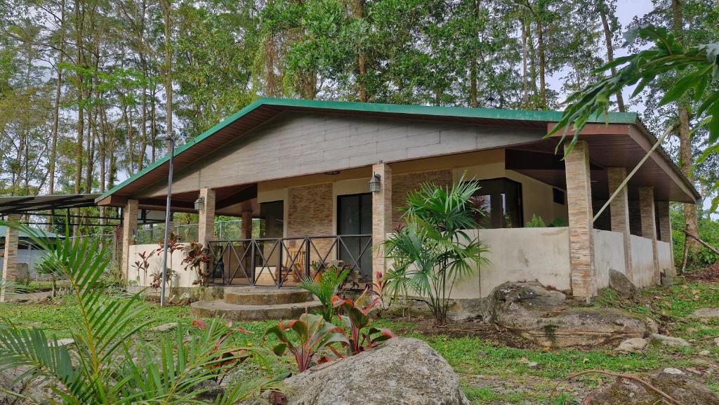 een klein huisje midden in een bos bij House in the Woods in Guápiles