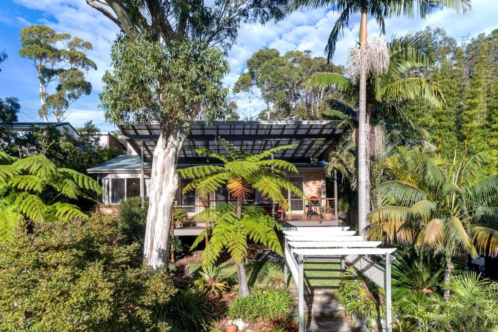 a house in the middle of a forest with palm trees at The Sanctuary at Greenfield Beach by Experience Jervis Bay in Vincentia