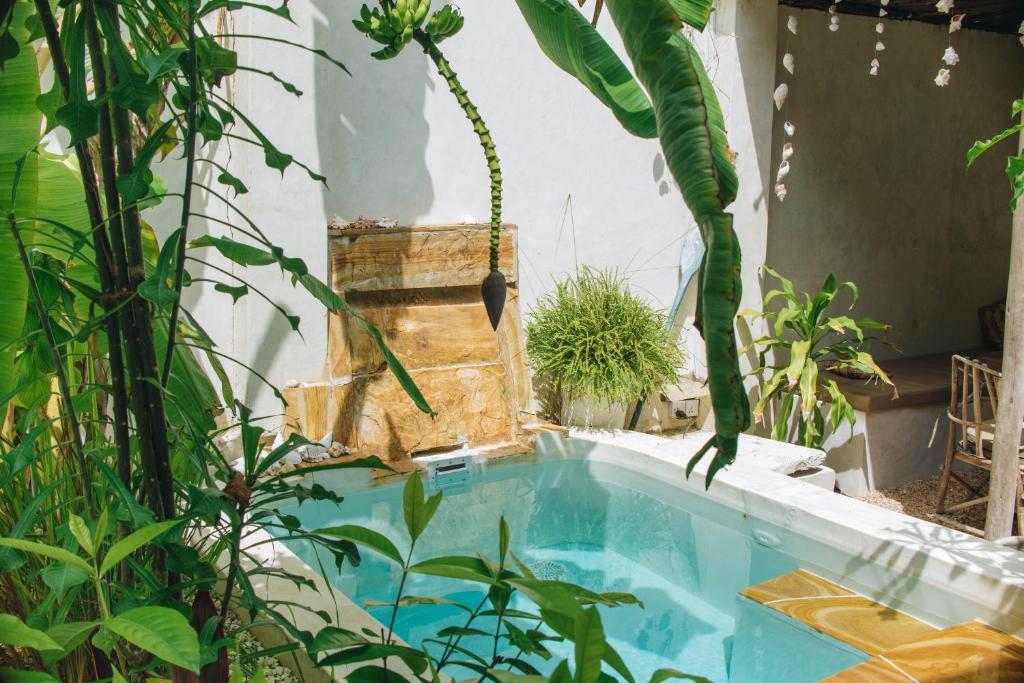 a swimming pool in a garden with plants at Bahari Studio by Bora Pamoja Homes Pool, Solar Backup & 5 Min to Beach in Jambiani