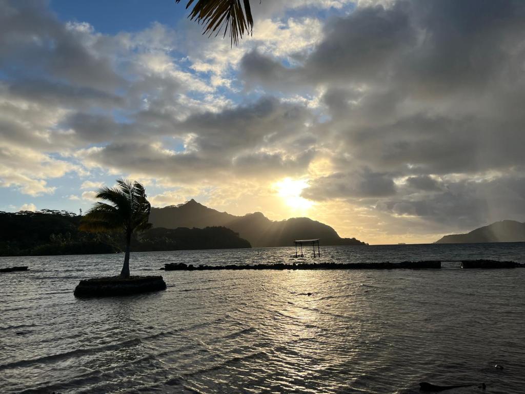 Montrose Place Huahine, Huahine - photo 10 - Huahine, Polynésie