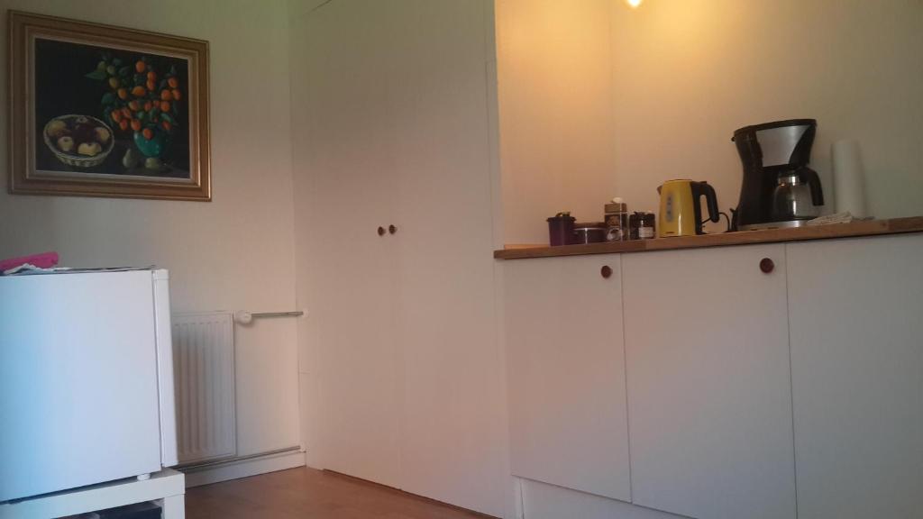 Kuchyň nebo kuchyňský kout v ubytování Room In Gedser Centrum