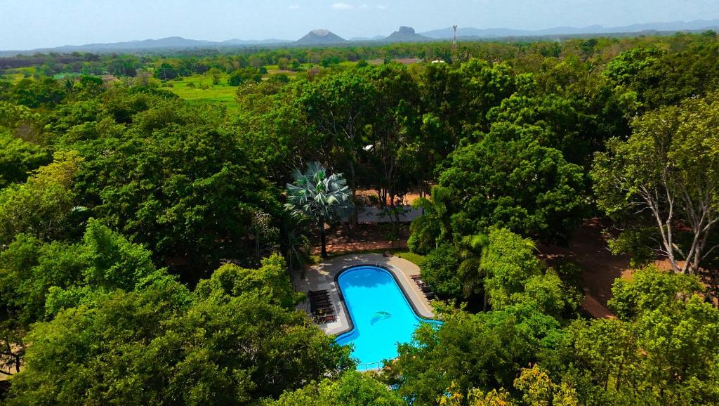 an overhead view of a swimming pool in a forest at Hotel Kamrel Sigiriya in Sigiriya