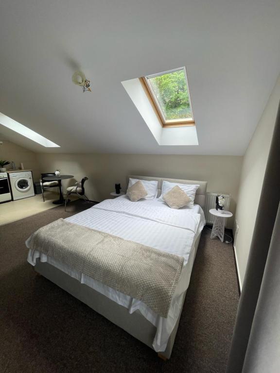 クルジュ・ナポカにあるEnjoy Apartments - Central Nest Under the Skyのベッドルーム(天窓付きの白いベッド1台付)