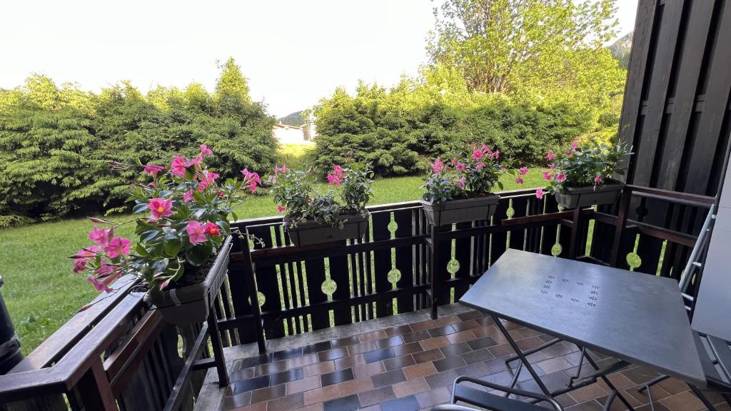 Κήπος έξω από το Ski & Bike Central Apartment