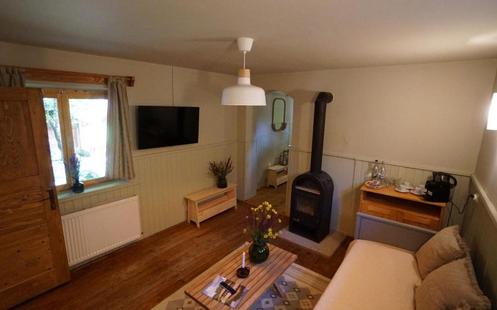 TV a/nebo společenská místnost v ubytování Valea Verde Retreat Transilvania