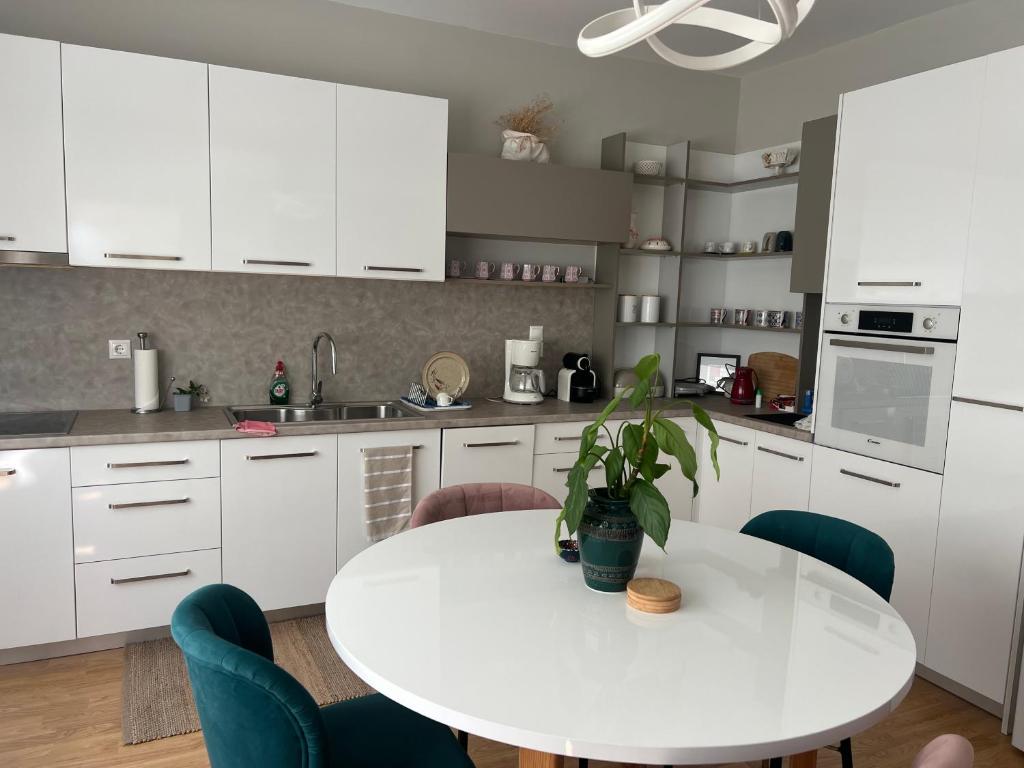 Kuchyň nebo kuchyňský kout v ubytování Selini apartment