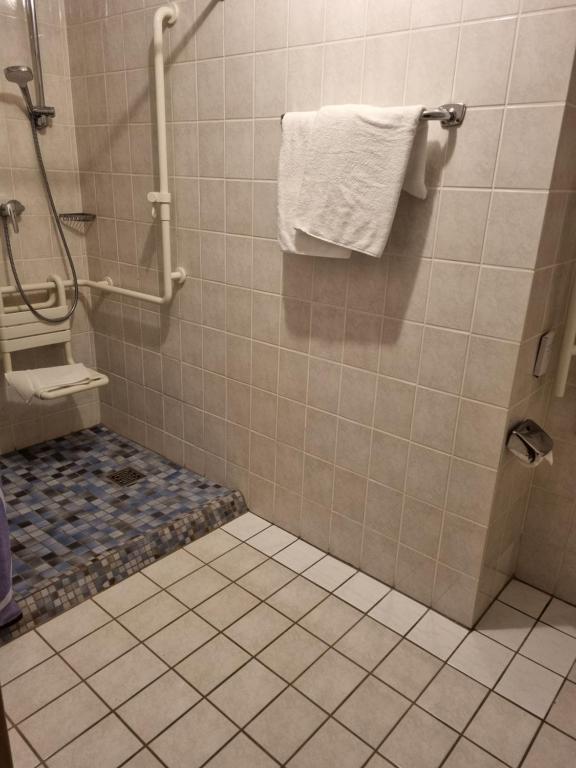 Hotel zum Hirschen - Double Room - Disability Access