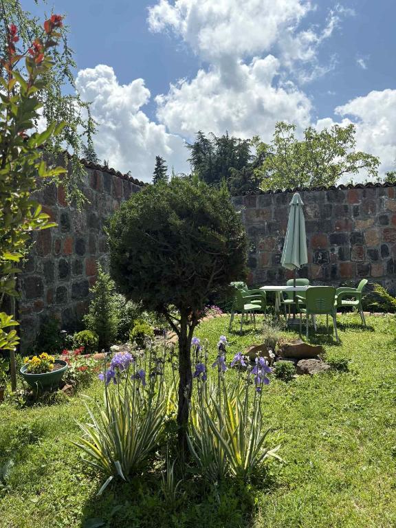 Zahrada ubytování Hotel Classic