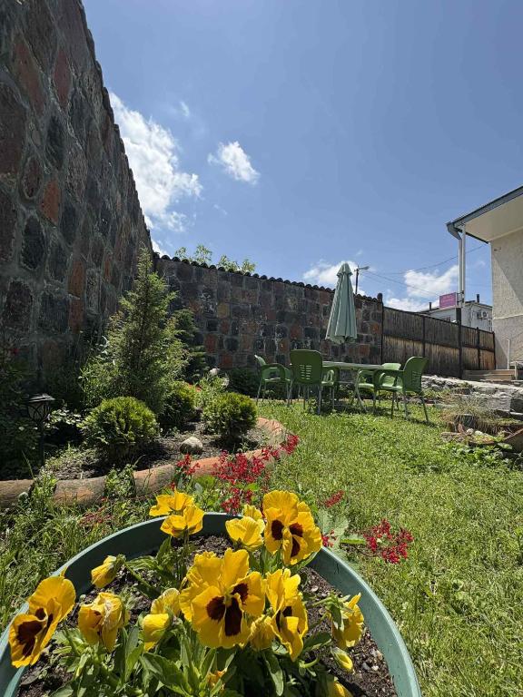 Zahrada ubytování Hotel Classic