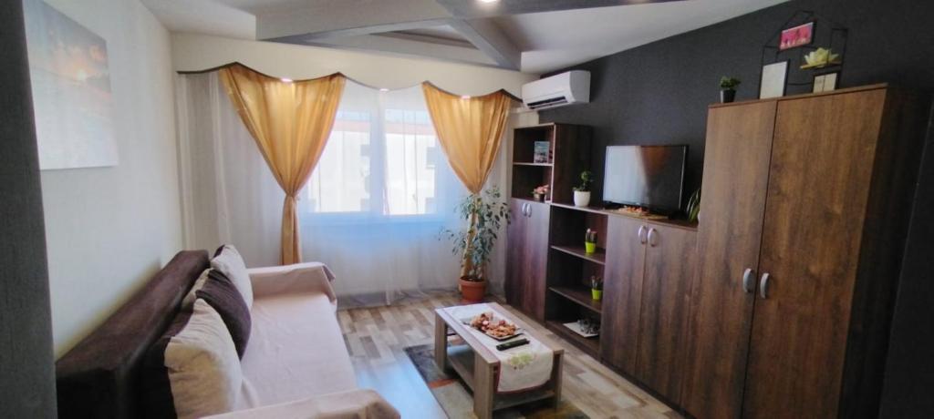 Μια τηλεόραση ή/και κέντρο ψυχαγωγίας στο Casa lui Andrei