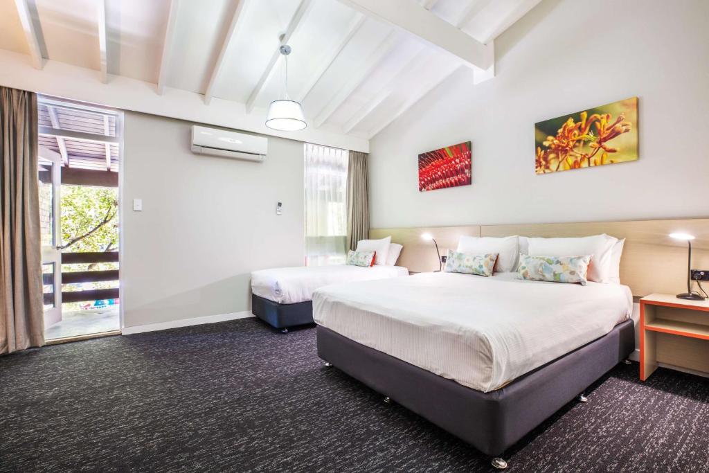 
Queen and Single Studio 
