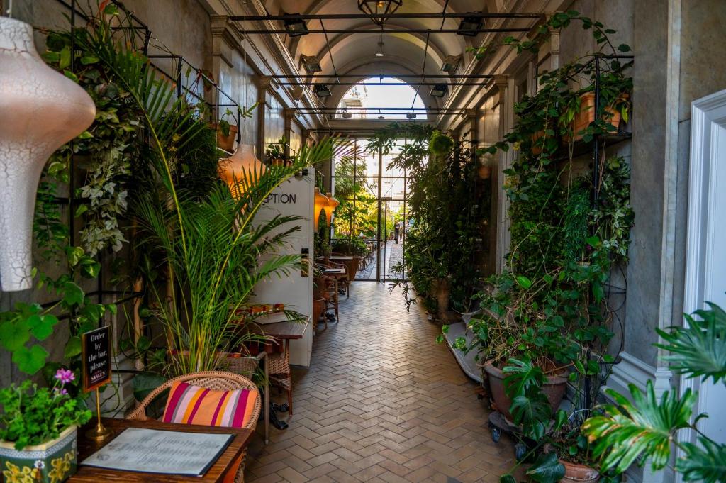 Babette Guldsmeden - Resim 3