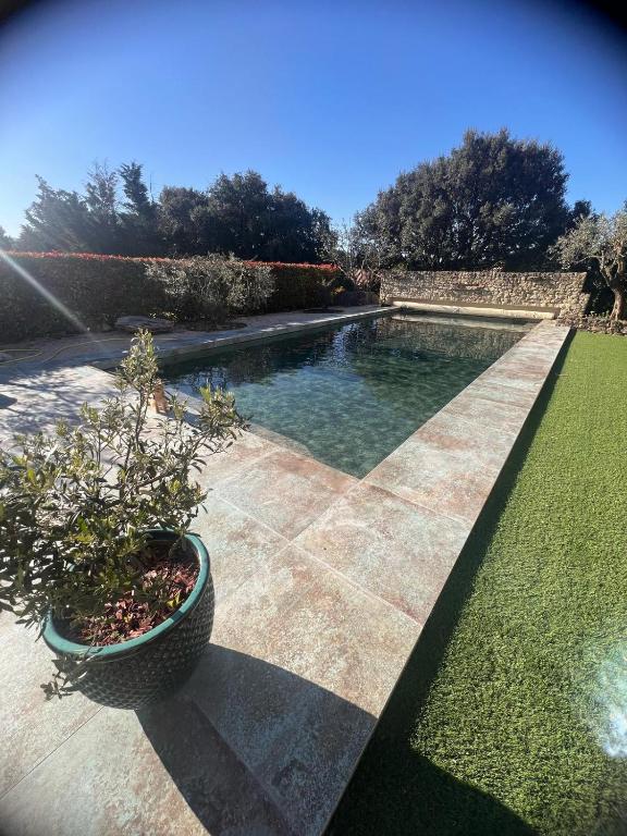 - une piscine avec une plante en pot dans une cour dans l'établissement Les Hauts Sauviers, à Bédoin