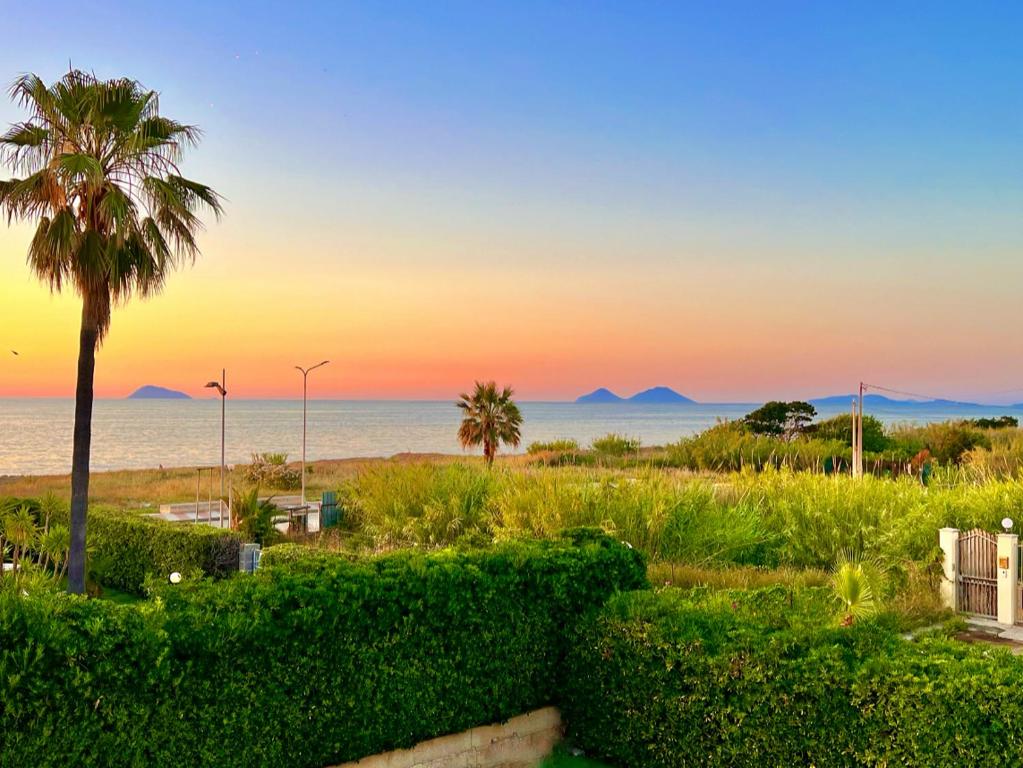 a view of the beach with a palm tree and the ocean at Villa Agata - Sea Life in Acquedolci