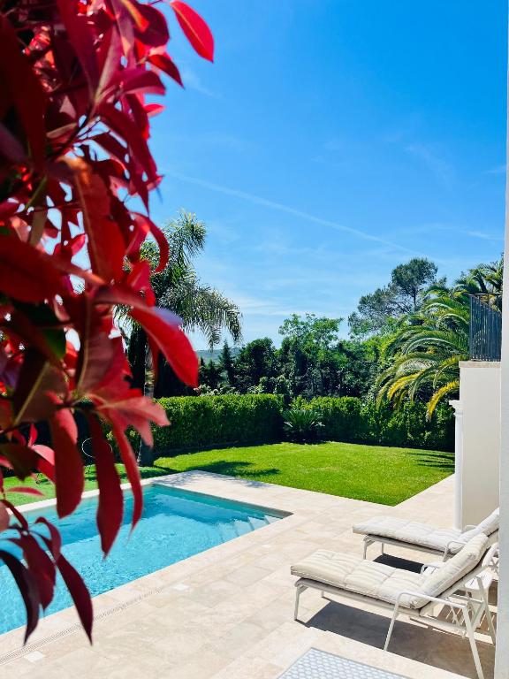 - une piscine avec une chaise et un arbre dans l'établissement Villa Doisy, à La Colle-sur-Loup