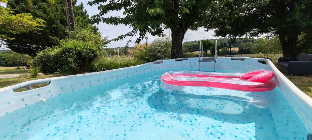 a swimming pool with an inflatable chair in it at Chez Cathy Chambre d'hôte cosy avec piscine, jacuzzi et grand salon, proche futuroscope, cure thermale, wifi, salle de bain, parking in La Roche-Posay