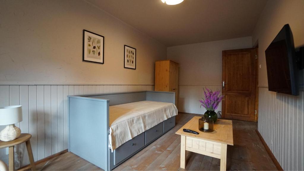 TV a/nebo společenská místnost v ubytování Valea Verde Retreat Transilvania