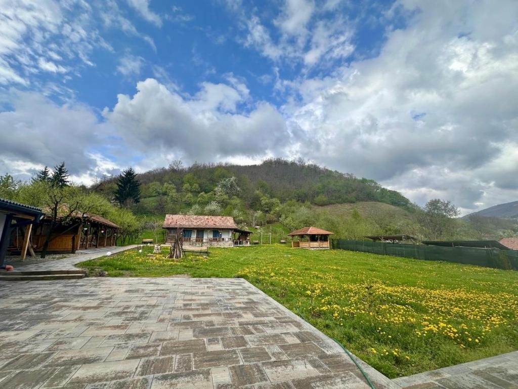 a grassy field with a building and a mountain at Casuta de sub deal 