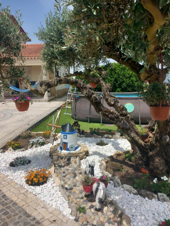 Um jardim no exterior de Casa das Laranjeiras