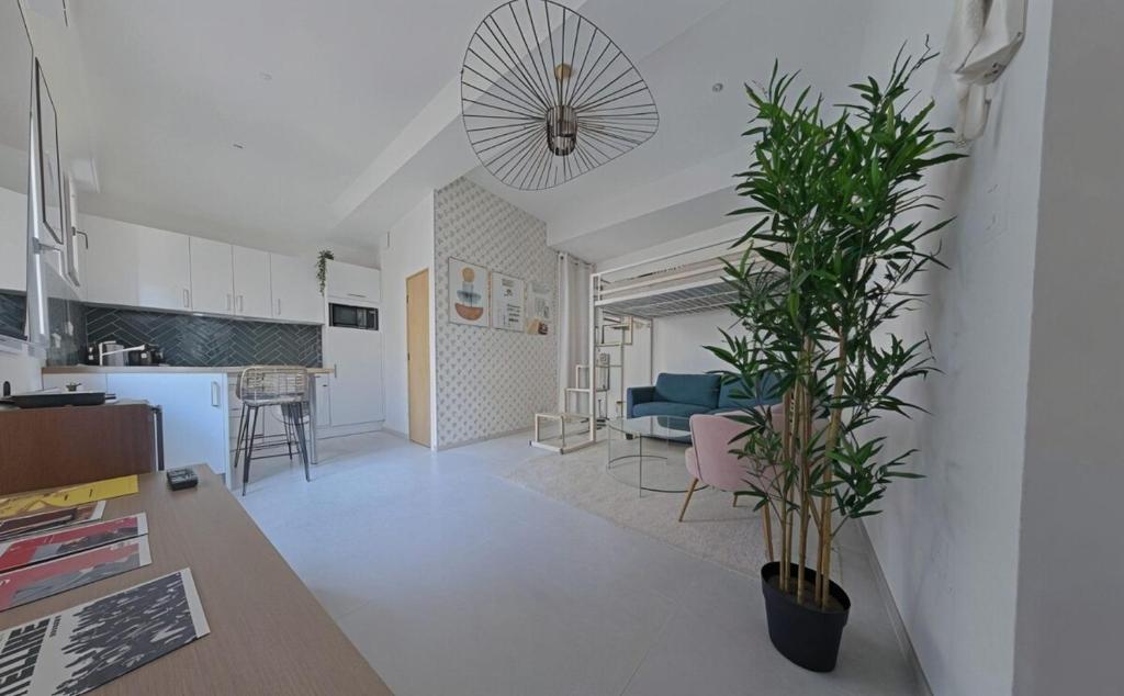 une cuisine et un salon avec une plante en pot dans l'établissement Charmant studio contemporain, à Montpellier