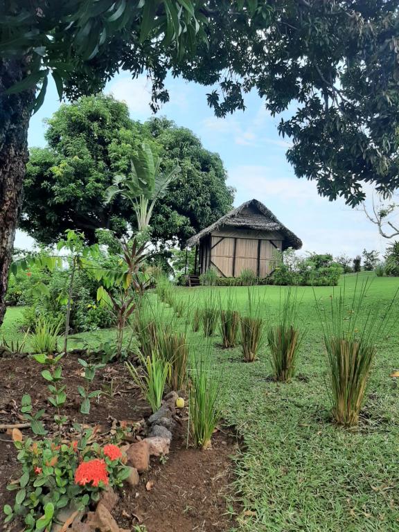 a garden with a thatch hut in the background at La Table d Alexandre Gîte de charme entre mangrove et mer in Hell-Ville