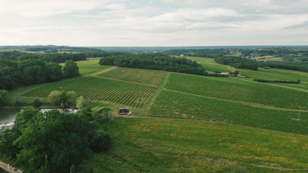 Vista aérea de un viñedo con un coche en el centro. en Parcel Tiny House Couronneau près du Périgord, en Ligueux
