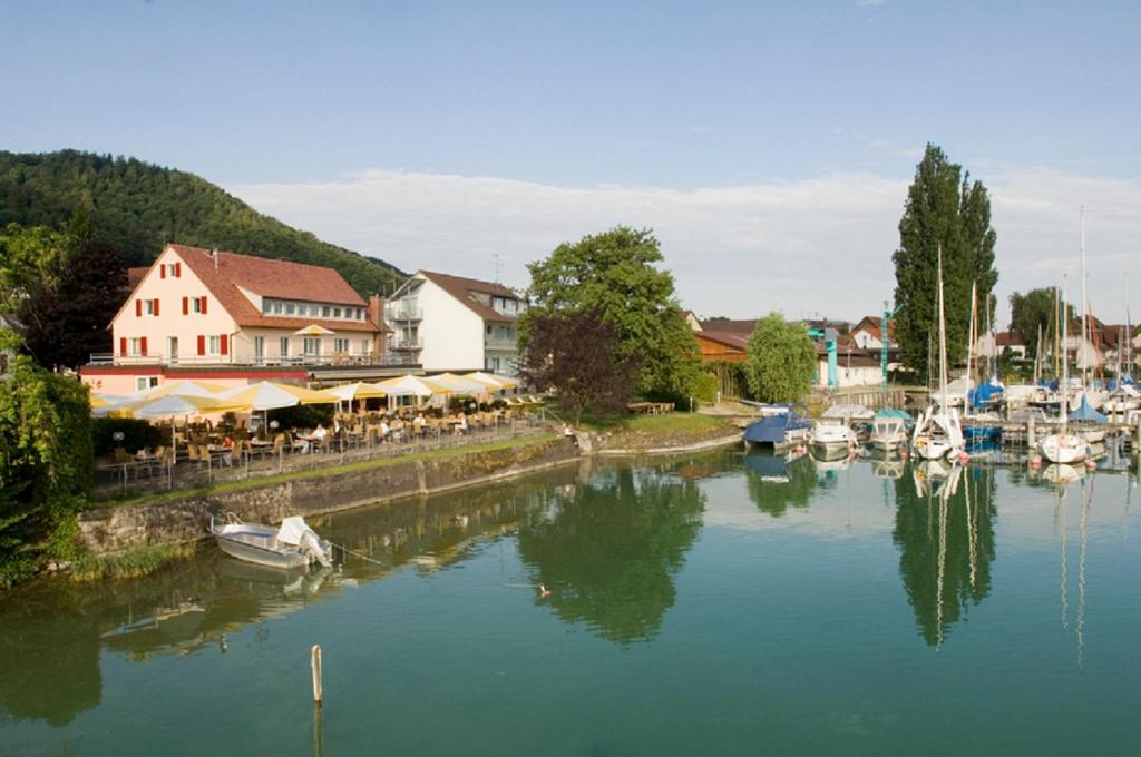 een rivier met boten aangemeerd in een stad bij Hotel Pension Café Hasler in Bodman-Ludwigshafen