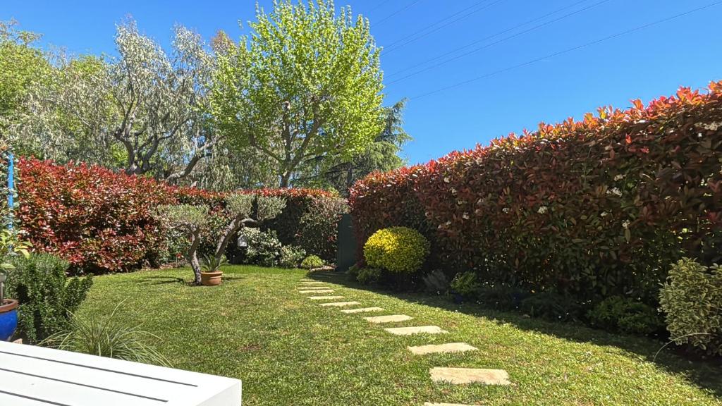 un jardin avec une haie et un sentier dans l'établissement Appartement MOUGINS, moderne et cozy, piscine tennis pétanque et golf à 2 mns, à Mougins