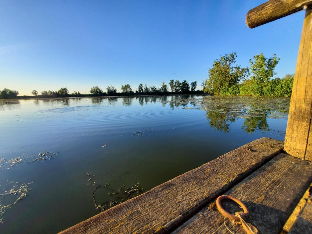 une vue depuis l'extrémité d'un bateau sur un lac dans l'établissement Petite maison proche rivière, à Vouillé-les-Marais