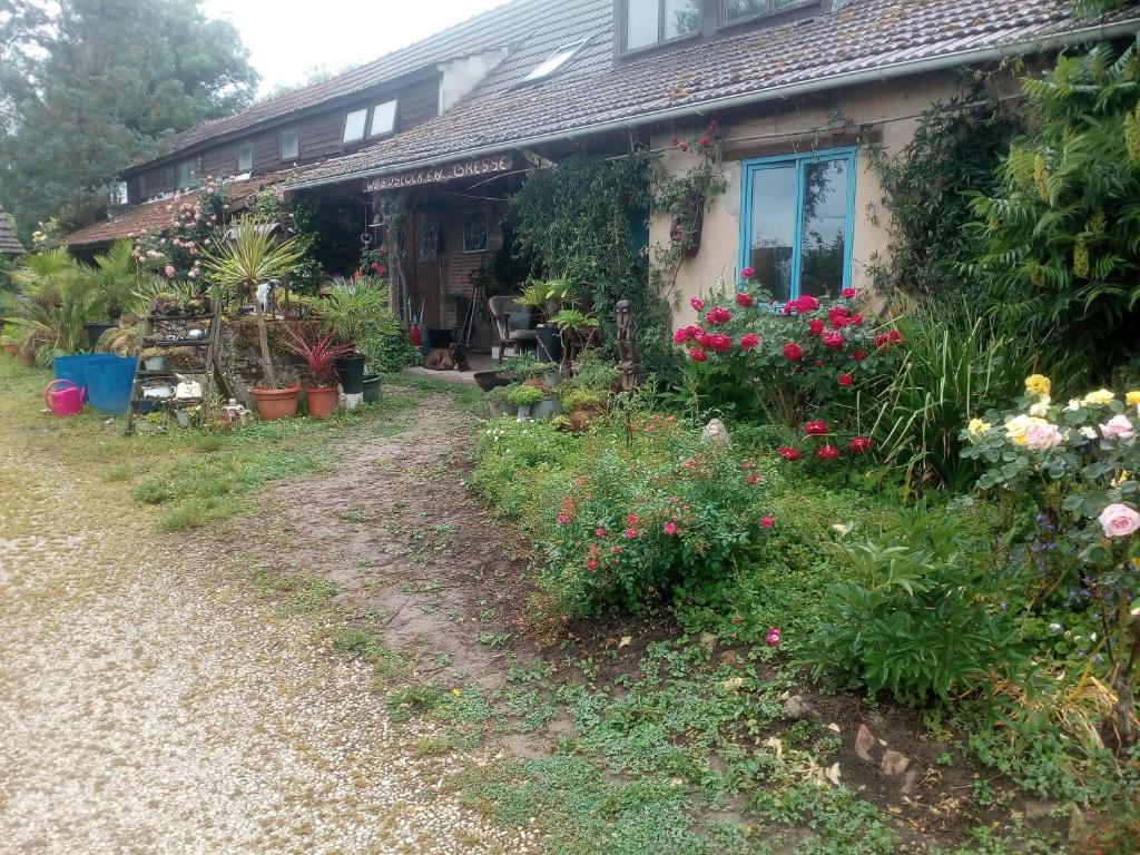 une maison avec des fleurs et des plantes devant dans l'établissement echte plattelandservaring in rust en ruimte, à Serrigny-en-Bresse