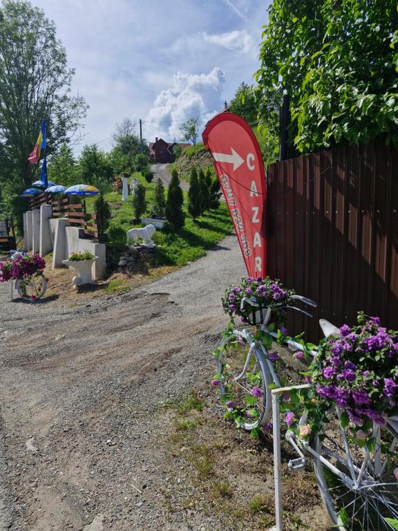 Zahrada ubytování Pensiunea Cabana Viselor