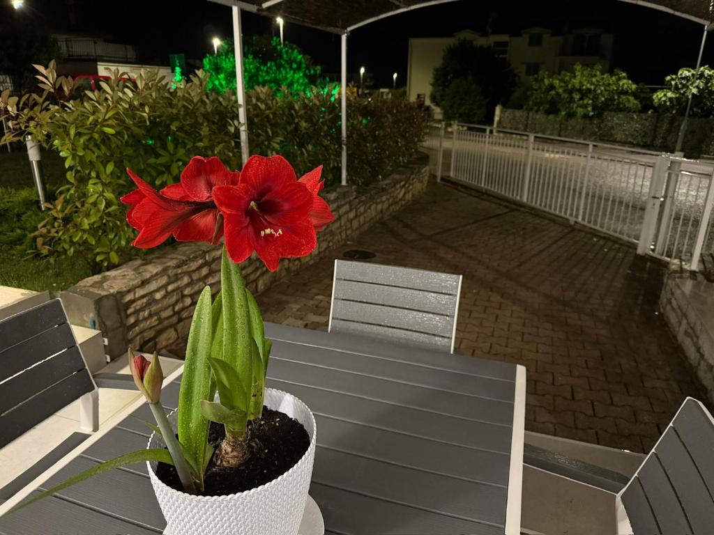 Apartments Roberta - 16