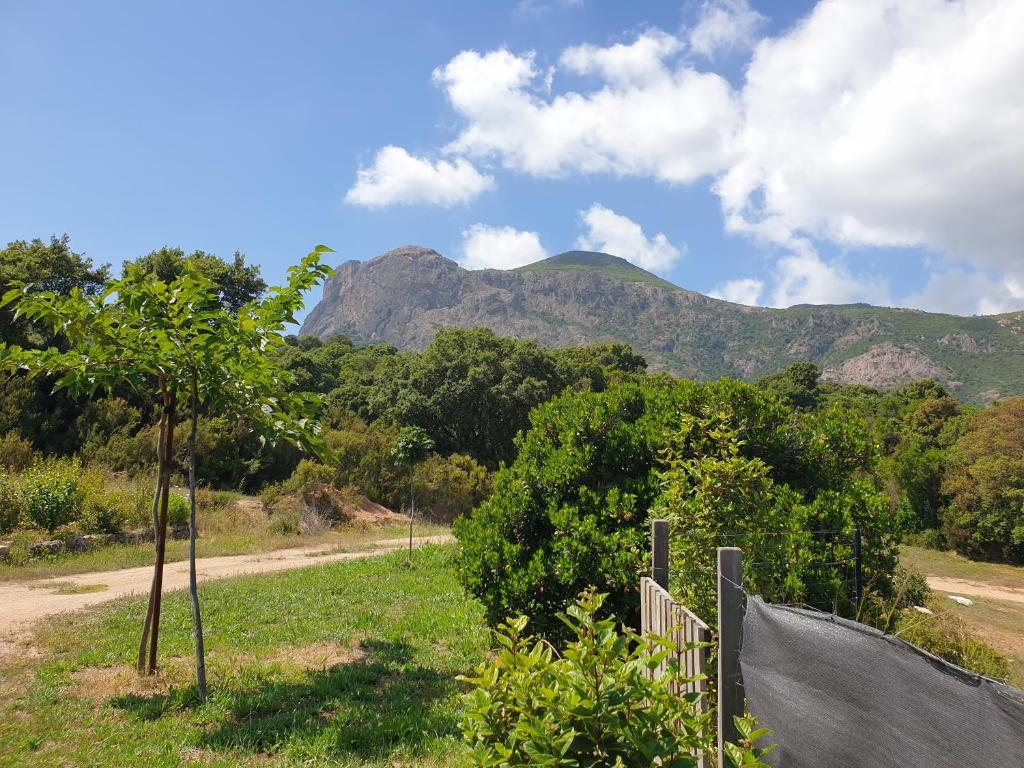 une clôture dans un champ avec une montagne en arrière-plan dans l'établissement Gozzi Mandriolu, à Afa