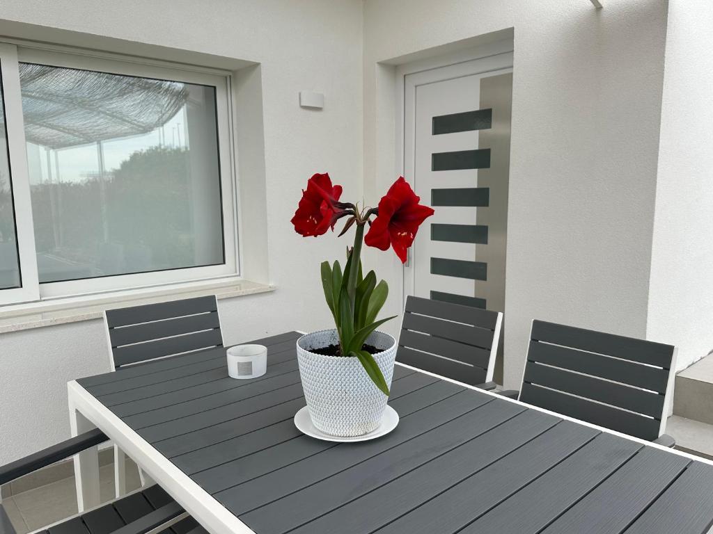 Apartments Roberta - 12