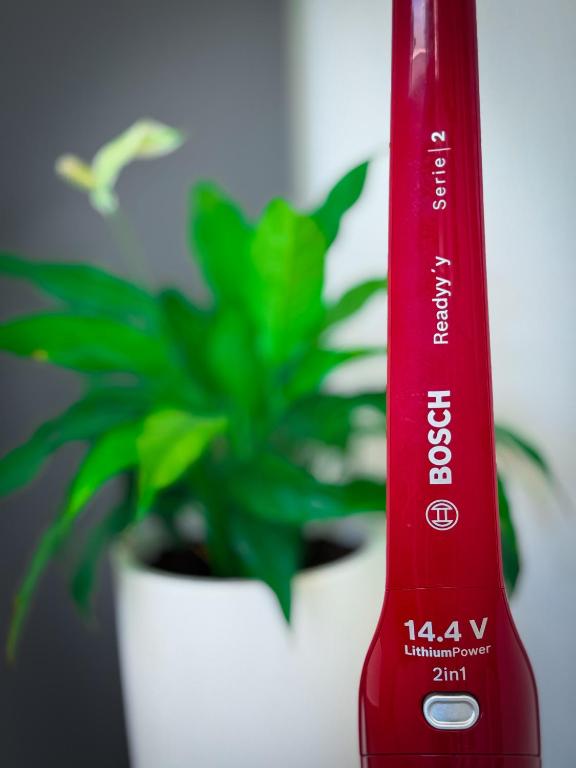 Apartments Roberta - 19