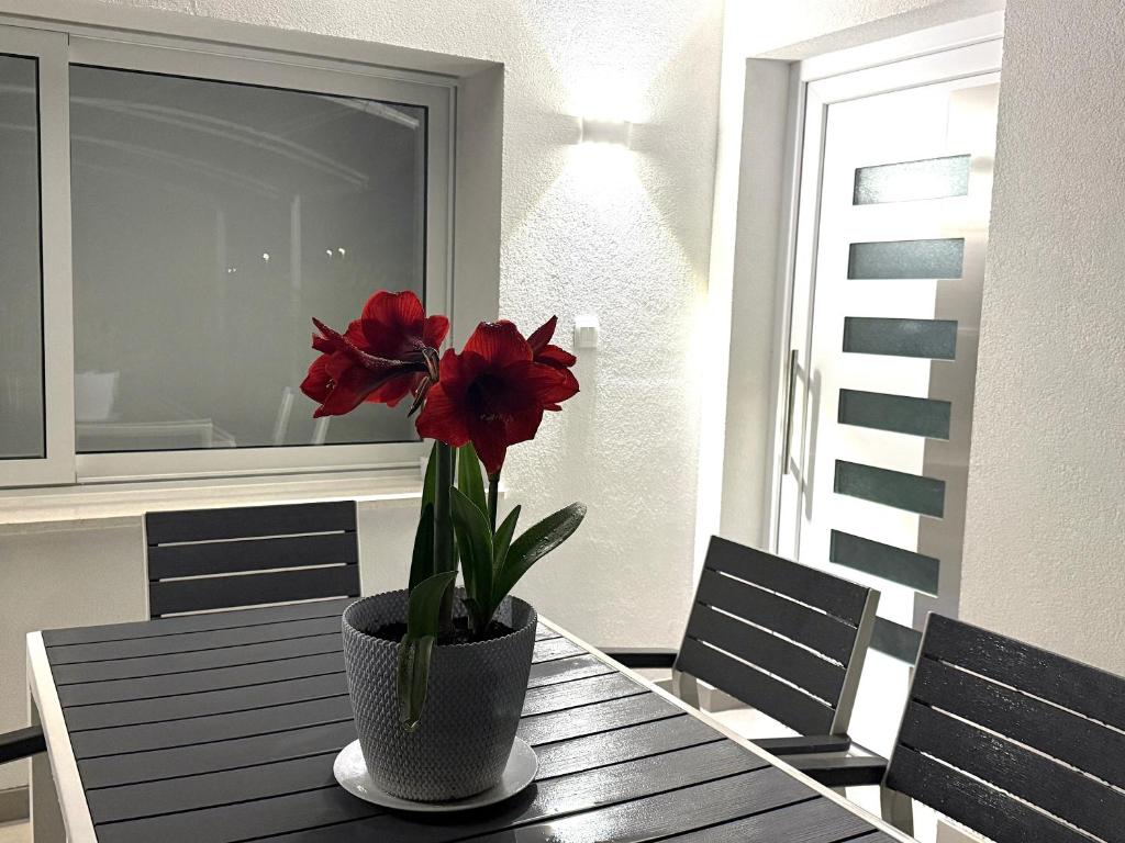 Apartments Roberta - 13