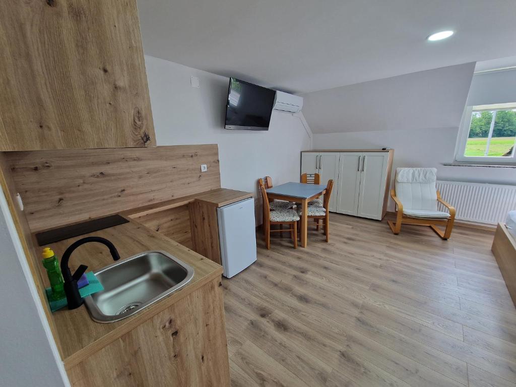 TV a/nebo společenská místnost v ubytování Dežman Apartments & Rooms