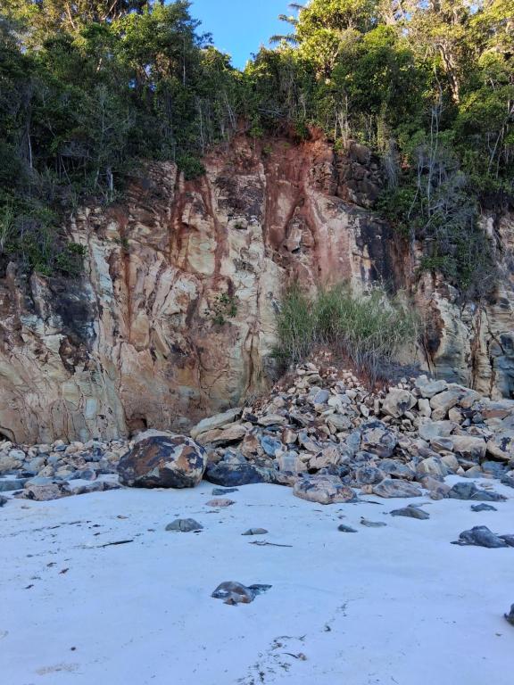 a rocky shore with trees on top of it at La Table d Alexandre Gîte de charme entre mangrove et mer in Hell-Ville