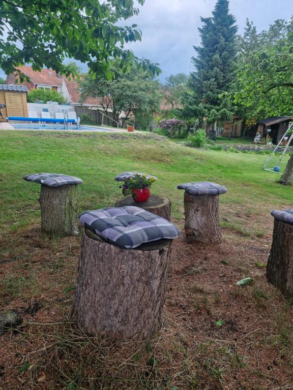 Zahrada ubytování Pension Weidengrund