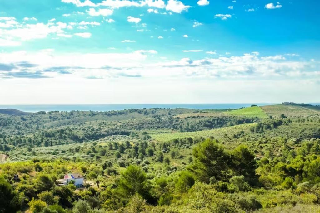 a house in the middle of a valley with trees at WILDSPIRIT Bedroom in Permaculture Paradise at WILDSPIRIT Eco Cultural Farm in Villanueva de Alcolea