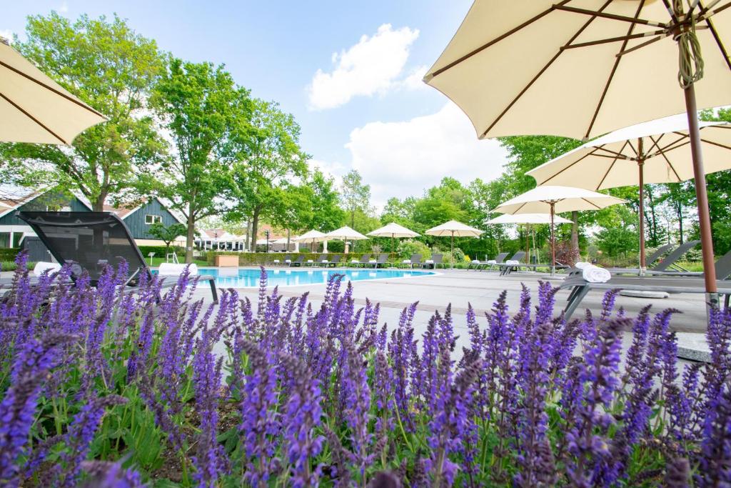 Zahrada ubytování Fletcher Parkhotel De Wiemsel