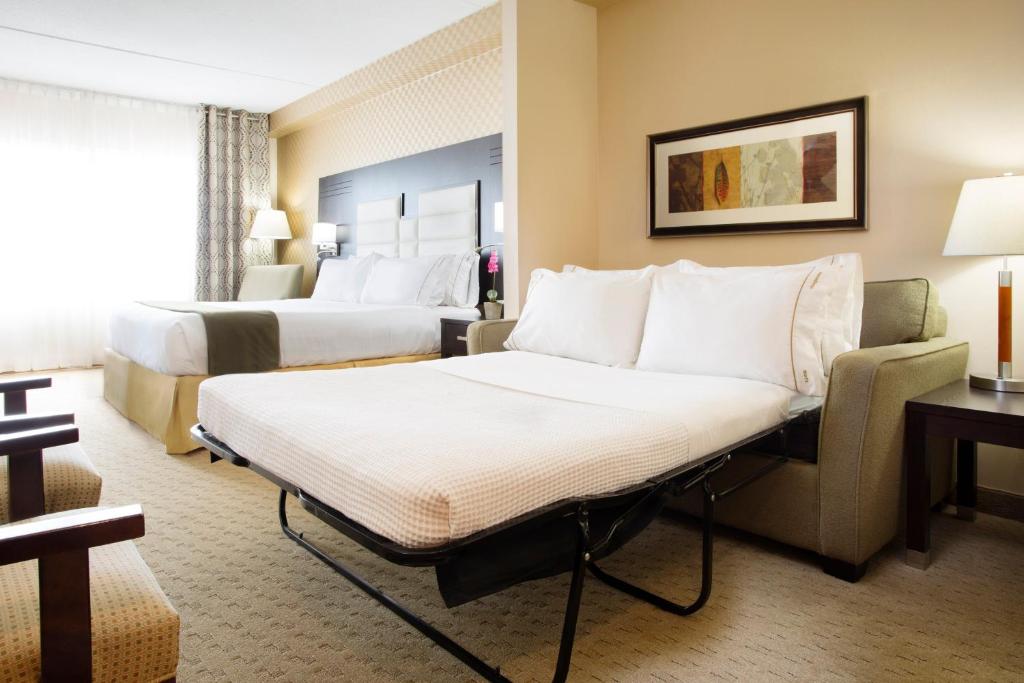 Holiday Inn Express & Suites Ottawa West - Nepean by IHG - Resim 25