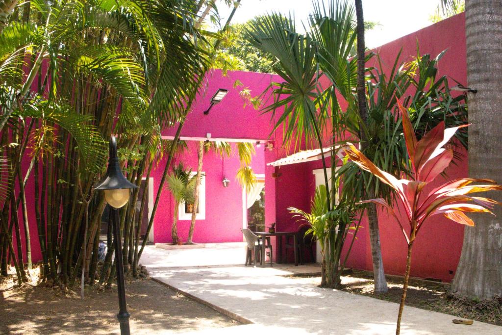 Un jardín fuera de Casa Isabella