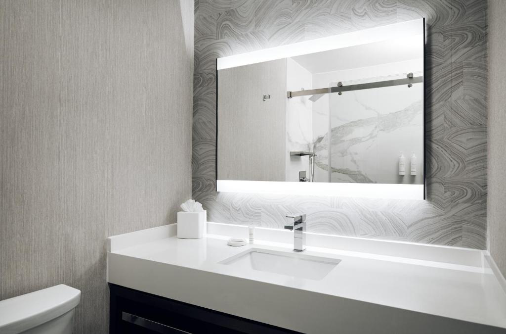 Chicago Marriott Oak Brook - 小型特大号床套房 - 带沙发床