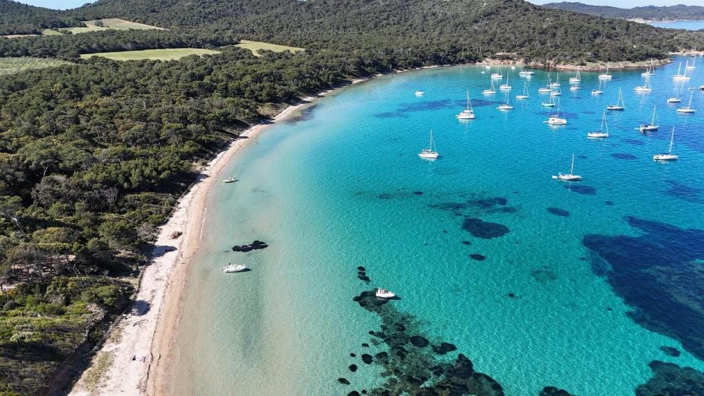 an aerial view of a beach with boats and sailboats at Villa Kalliopé - Vue mer - new in Hyères