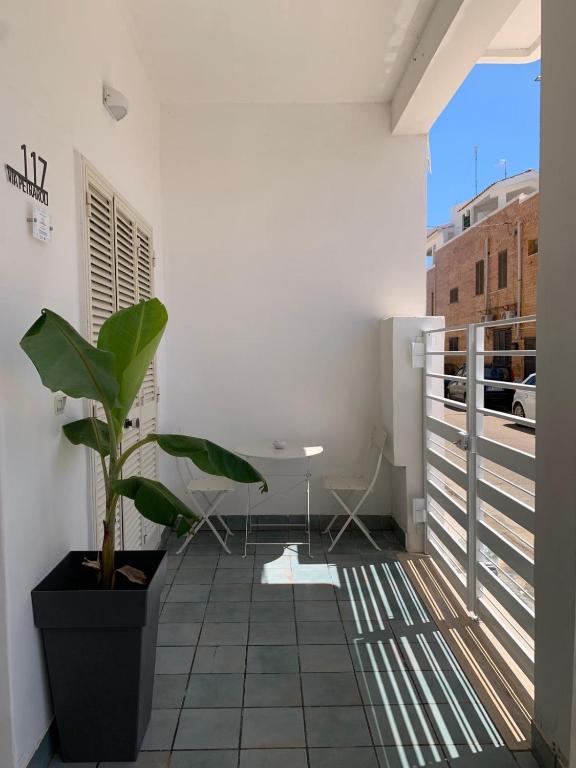 a plant in a pot on a balcony at VIRVIT CASA VACANZE in Porto Cesareo