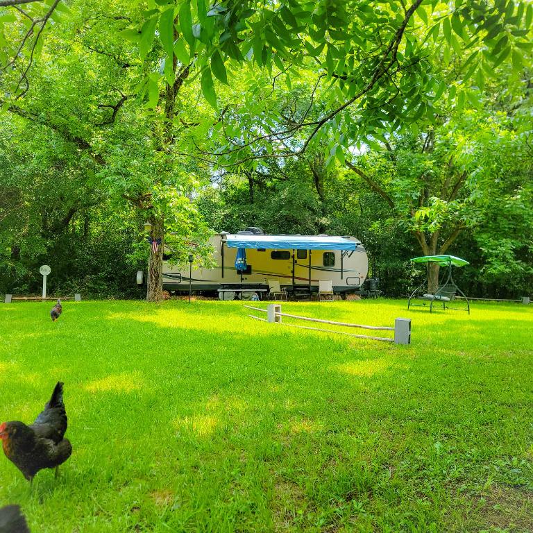 Zahrada ubytování Cozy Camper Rental-Fully Equipped