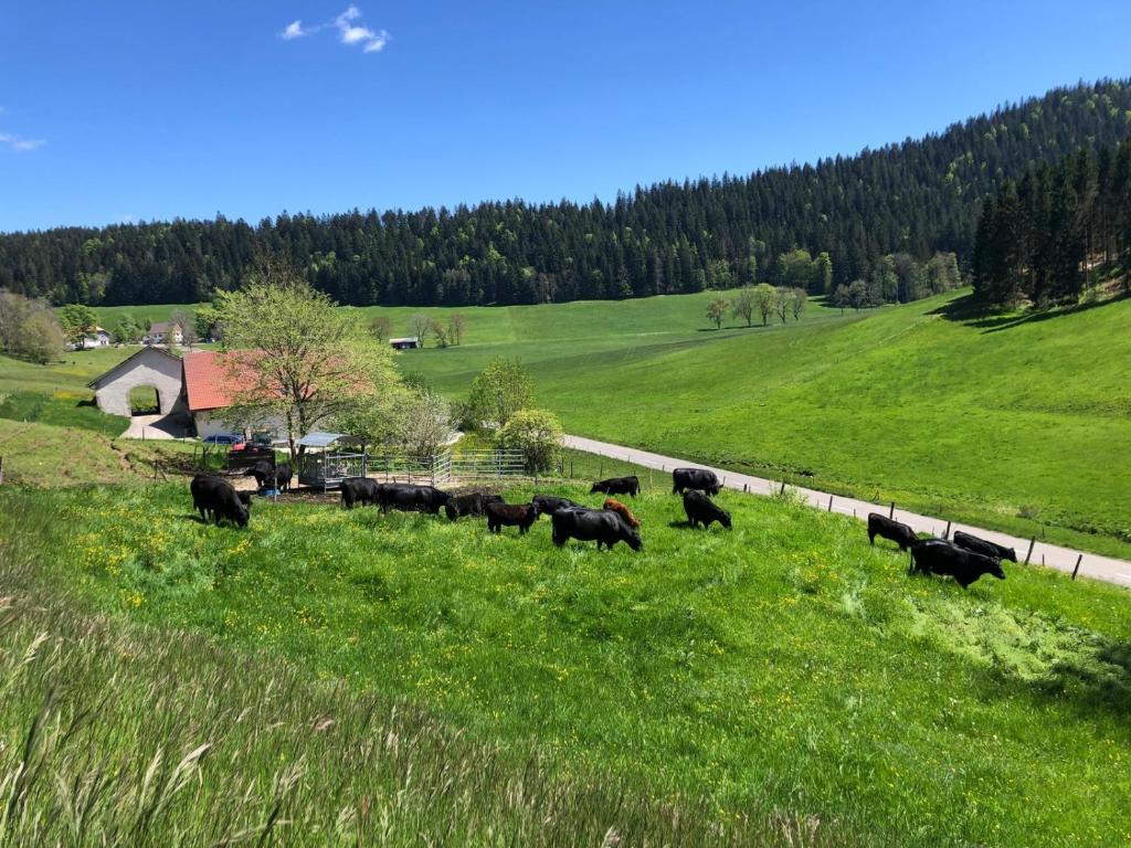 Loodusmaastik apartemendi lähedal