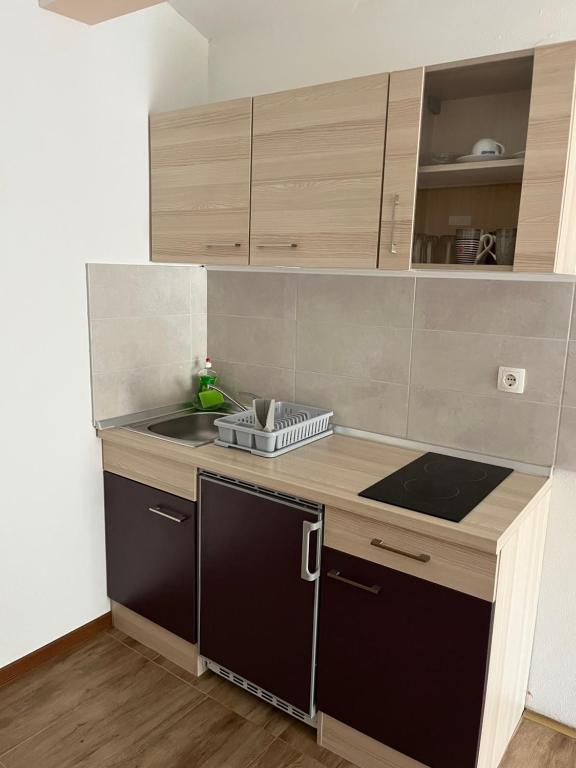 małą kuchnię z blatem i zlewem w obiekcie Apartmani Italo w Biogradzie na Moru