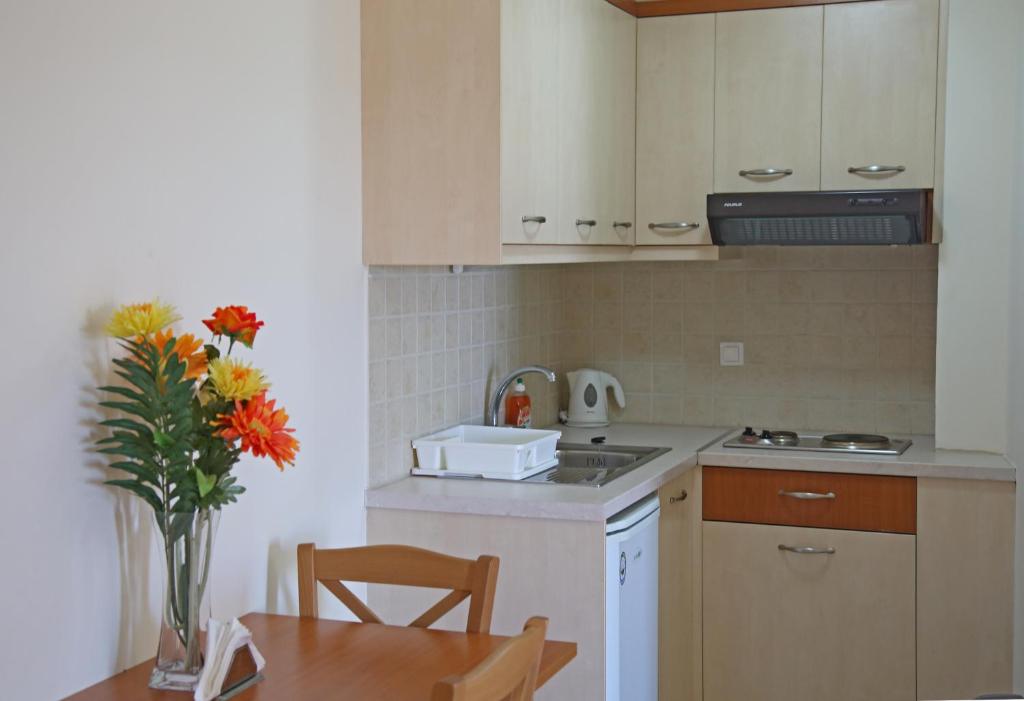Kuchyň nebo kuchyňský kout v ubytování Hotel Sea Breeze